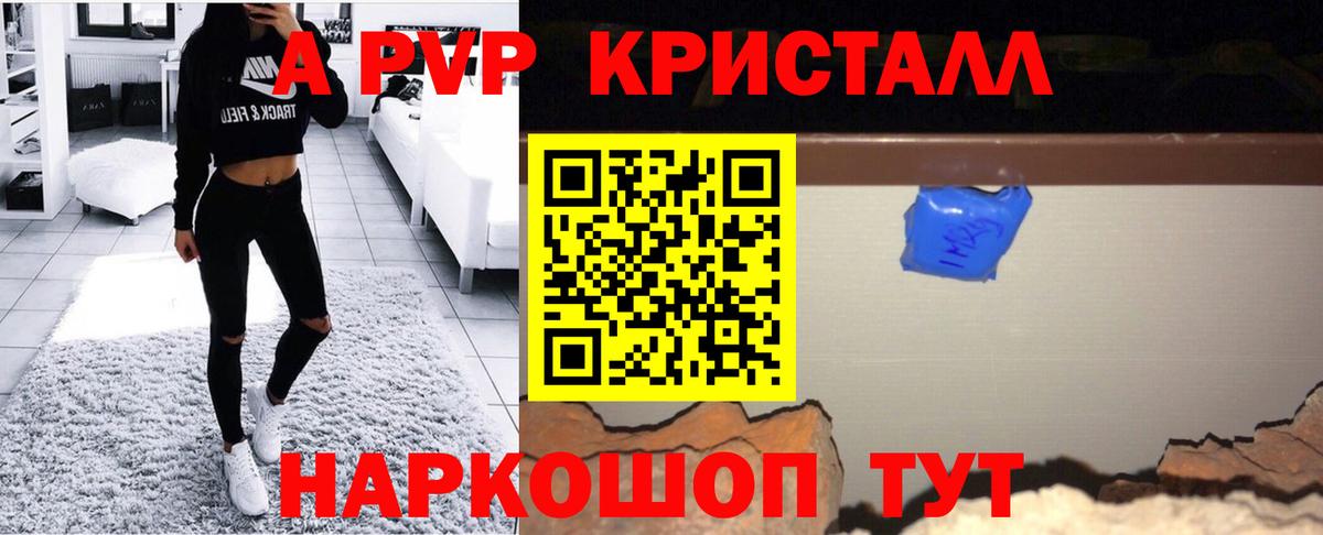Альфа ПВП СК КРИС Елец
