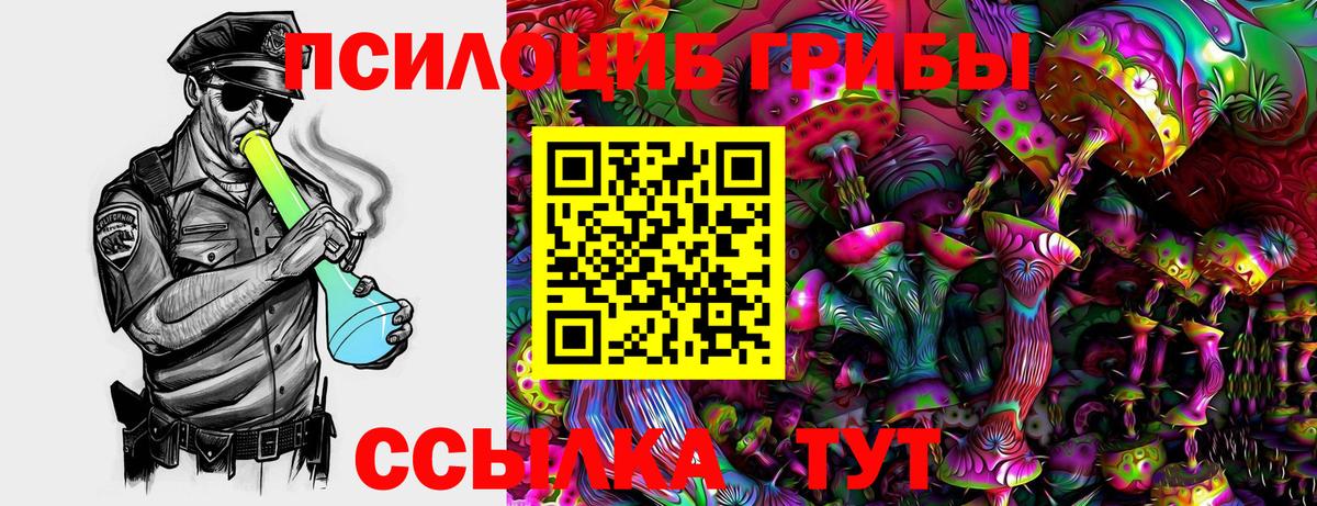 Галлюциногенные грибы Magic Shrooms  Галлюциногенные грибы Psilocybe  Елец  Вход с VPN 