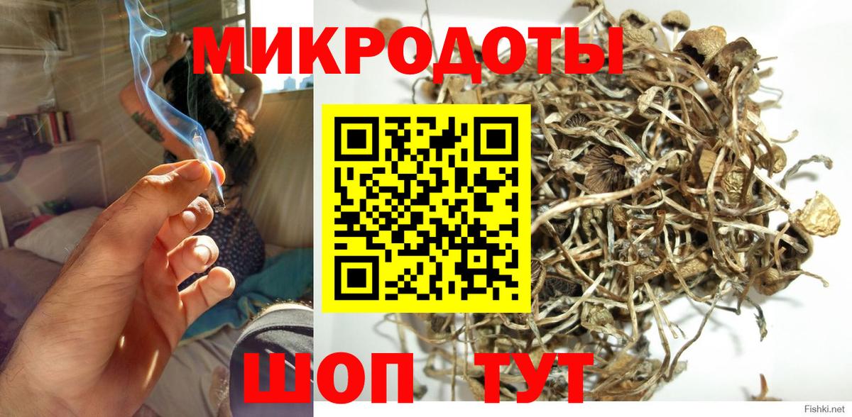 Галлюциногенные грибы мухоморы Елец
